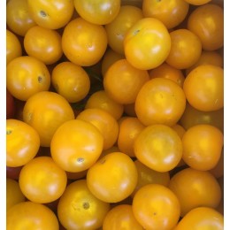 Tomate Cocktail Jaune France - Le Kilo
