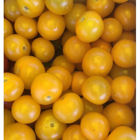 Tomate Cocktail Jaune France - Le Kilo