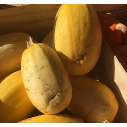 Courge Spaghetti France - Le Kilo