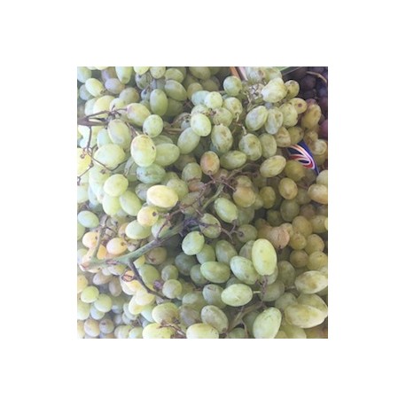 Raisin Blanc Centenial France - Le Kilo