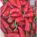 Piment Rouge Cayenne France - Le Kilo