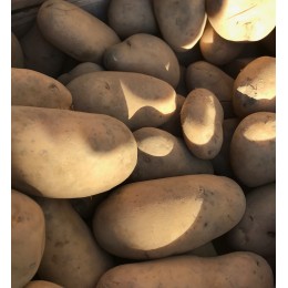 Pomme de Terre Allians France - Le Kilo