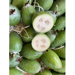 Feijoa France - Le Kilo