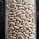 Haricots Blancs France - Le Kilo