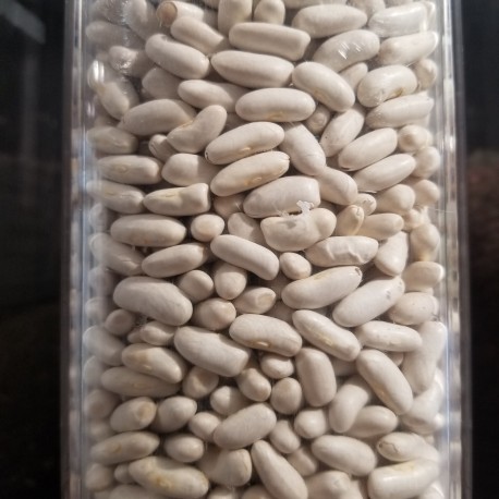 Haricots Blancs France - Le Kilo