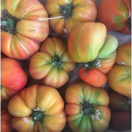 Tomate Côtelée Jaune France - Le Kilo