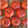 Tomate Côtelée Rouge France - Le Kilo