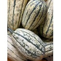 Courge Delicata France - Le Kilo