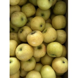 Pomme Chanteclerc France - Le Kilo