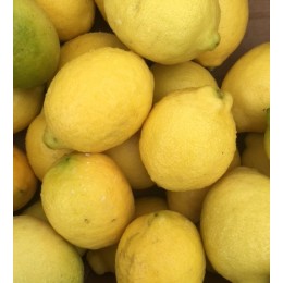Citron Jaune - Le Kilo